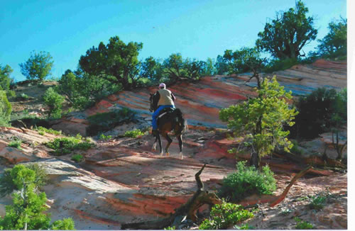 trot through red rock