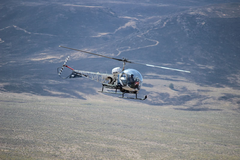 helicopter used to coral heard