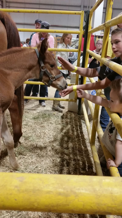 kids at expo with horse