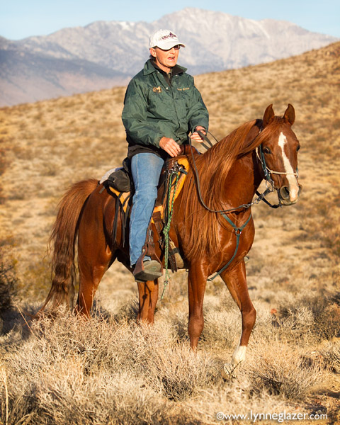 trail ride horse