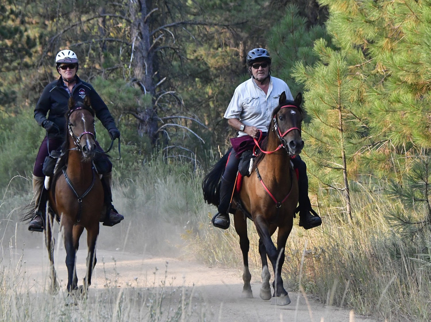 Old Selam Ride on trail horse and riders