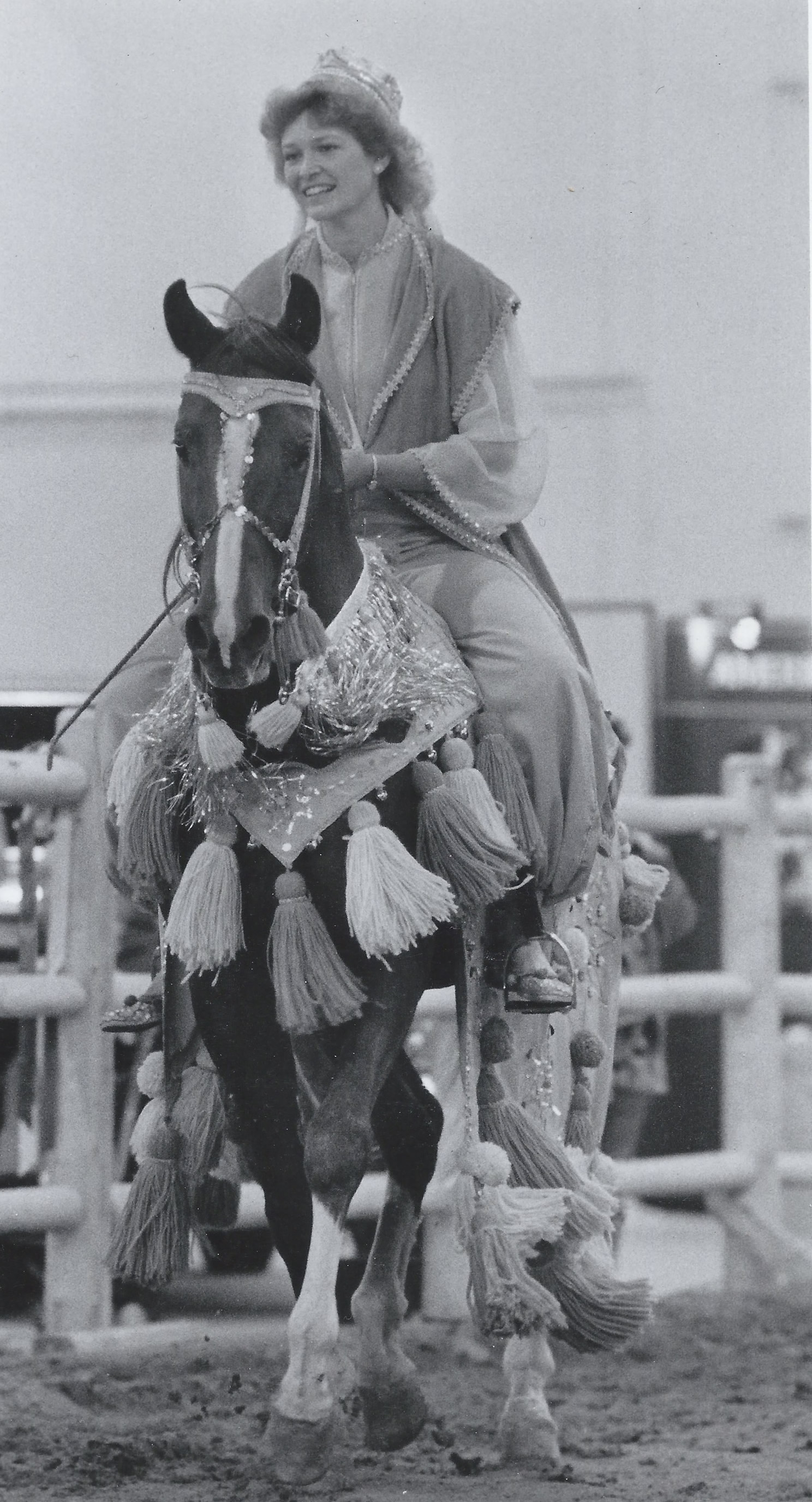Trad performning a Arabian horse demonstration