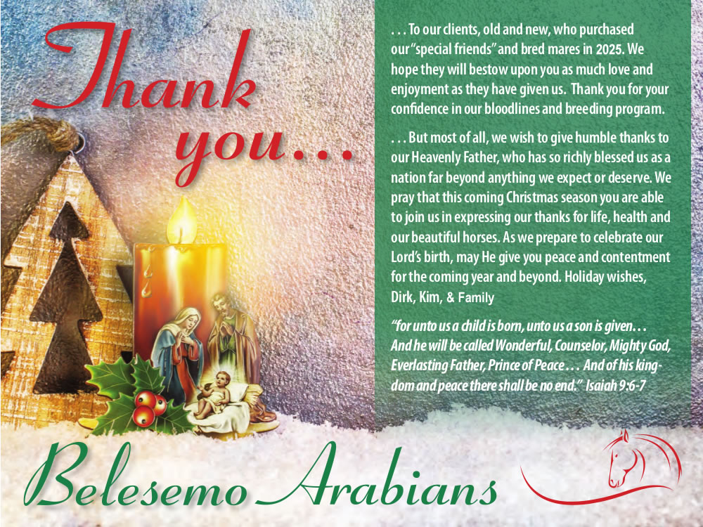 Christmas and holiday message 2026