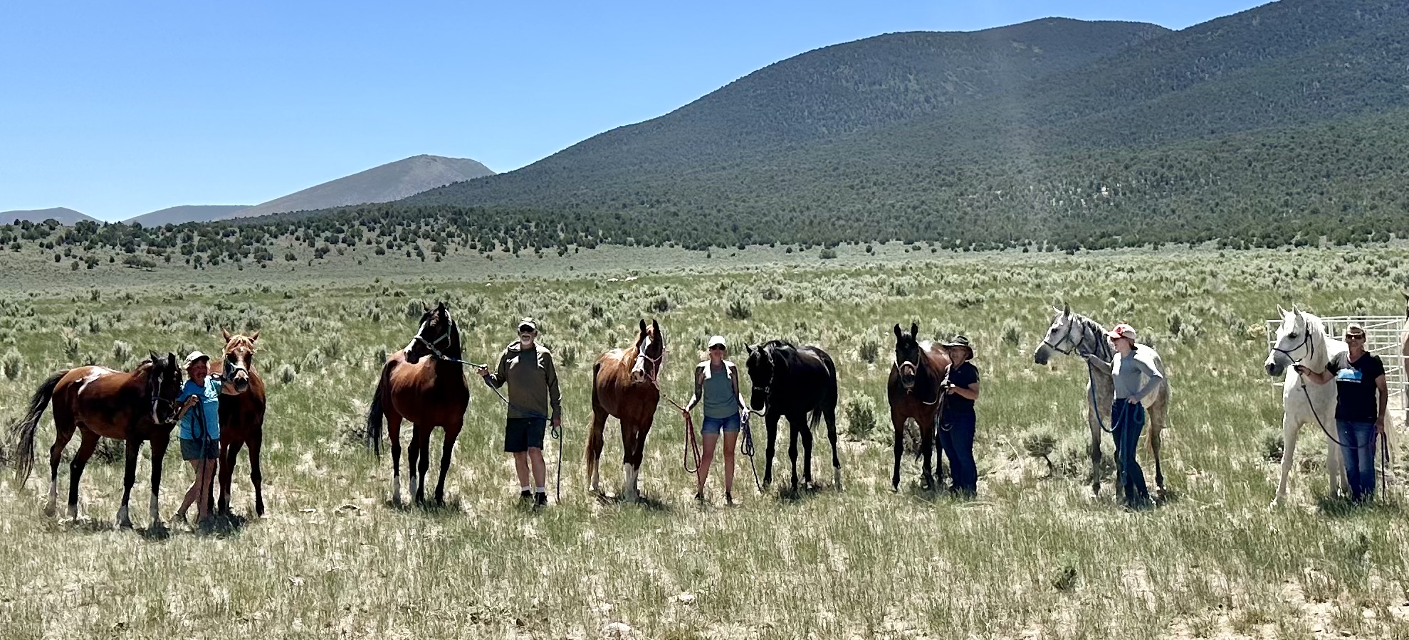2025 City Rocks Endurance Ride