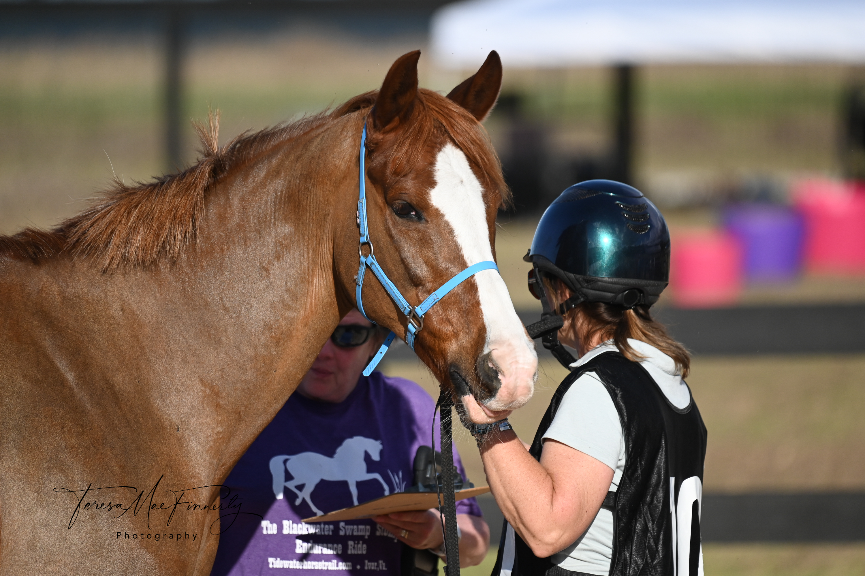 Belesema Sapphire Endurance ride