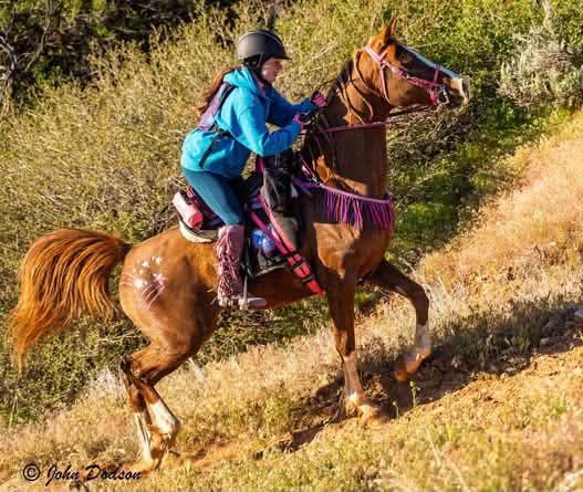 Belesemo Moon Cresent 2025 Mount Carmel ride